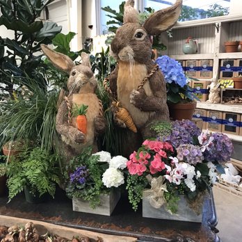 Dana Point Nursery - Easter Decor! - Nurseries & Gardening Near Me - Dana Point, California Dana Point Nursery - Easter Decor! - Nurseries & Gardening Near Me - Dana Point, California