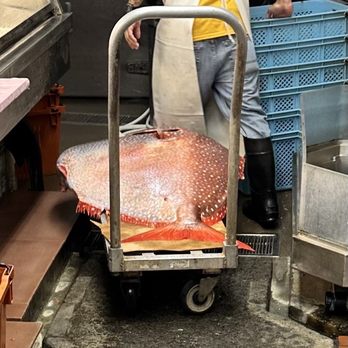 Tamashiro Market - Massive fresh fish - Grocery Near Me - Honolulu, Hawaii Tamashiro Market - Massive fresh fish - Grocery Near Me - Honolulu, Hawaii