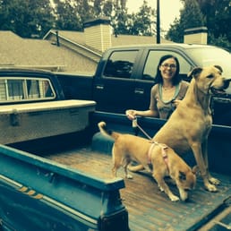 The "blue monster" (as they called her) is back on the road & ready to take me & my pups anywhere - thanks to Aamco Athens! The "blue monster" (as they called her) is back on the road & ready to take me & my pups anywhere - thanks to Aamco Athens!