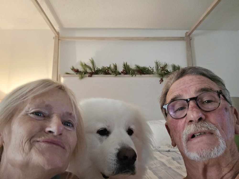 INN  The  Dog  House Image