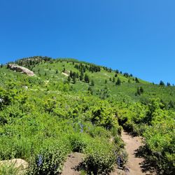 Silver Lake Trail