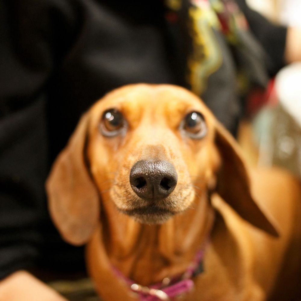 THE BEST 10 ANTIQUES near SOLEDAD, CA 93960 - Updated 2025 - Hours - Yelp