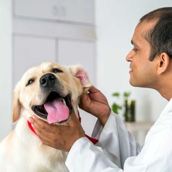 Banfield Pet Hospital - Veterinarians Near Me - Eagan, Minnesota Banfield Pet Hospital - Veterinarians Near Me - Eagan, Minnesota