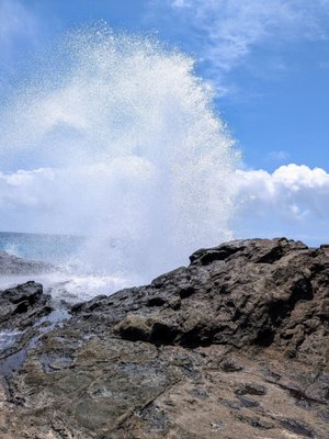 Halona Beach Cove by null