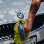 Photo of FD Mobile Auto Detailing