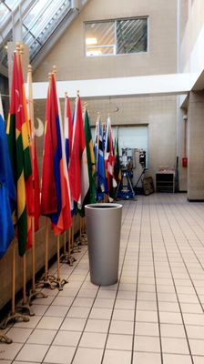 New York City College of Technology by null