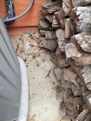 Carmel Valley Pest Control 1165 Linda Vista Dr San Marcos Ca Pest Control Mapquest