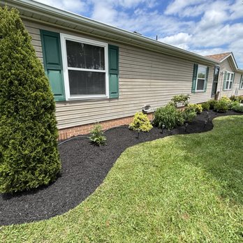 Gonzalez 'c Landscaping - Tree Services Near Me Gonzalez 'c Landscaping - Tree Services Near Me