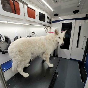 Rolling Paws Mobile Pet Grooming - Pet Groomers Near Me Rolling Paws Mobile Pet Grooming - Pet Groomers Near Me