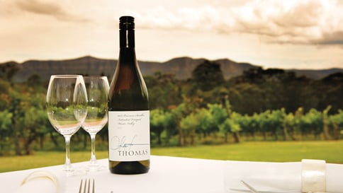 Spicers Vineyards Estate by null
