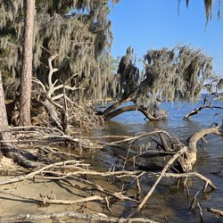 Goose Creek State Park