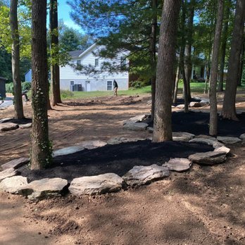 1 2 Tree Gone - Tree Services Near Me