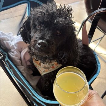 Hundred Mile Brewing - $5 mimosas - Brewpubs Near Me - Tempe, Arizona