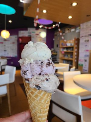 Mallard Ice Cream by null