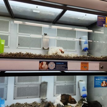 Petco - Pet Stores Near Me - Brooklyn, New York Petco - Pet Stores Near Me - Brooklyn, New York