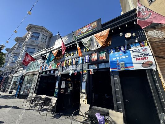 Mad Dog in the Fog by null