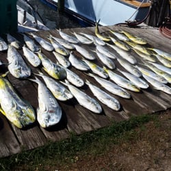Little Clam Sportfishing