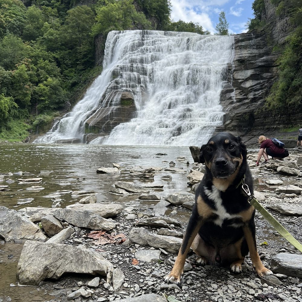 Ithaca Falls - Hiking Near Me