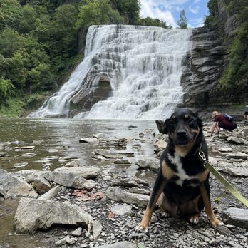 Ithaca Falls - Hiking Near Me