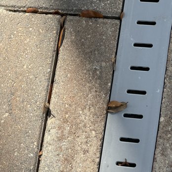 MVP Services - Gutter Services Near Me MVP Services - Gutter Services Near Me
