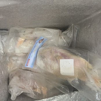 SB Food Depot - chicken wrapped in plastic bags - Grocery Near Me - Arlington, Texas SB Food Depot - chicken wrapped in plastic bags - Grocery Near Me - Arlington, Texas