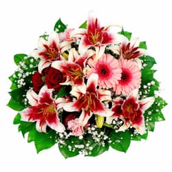 blumen und Pflanzen