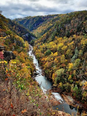 Tallulah Gorge State Park by null