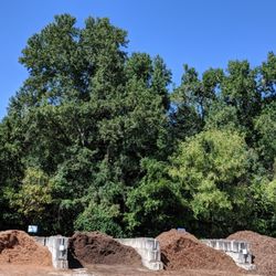 Green View Landscaping - Here are our cedar, dark hardwood, pine bark blend & pine bark mini nuggets