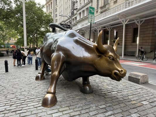 Charging Bull by null