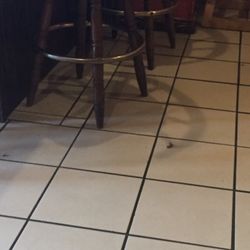 Restaurante El Trovador - Dead roach by our table.