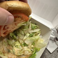 Freddy's Frozen Custard & Steakburgers - Brown lettuce