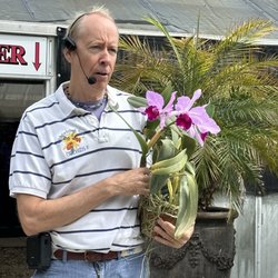 Chadwick & Son Orchids