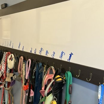 K9 Resorts - Albuquerque - Pet Boarding Near Me - Albuquerque, New Mexico K9 Resorts - Albuquerque - Pet Boarding Near Me - Albuquerque, New Mexico