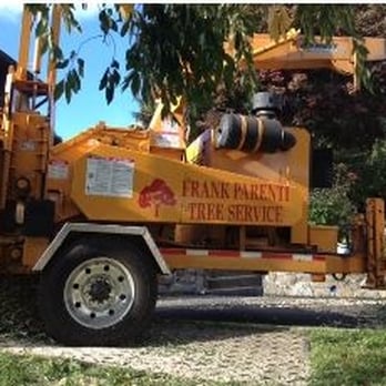 Frank Parenti Tree Service - Tree Services Near Me - Malvern, Pennsylvania Frank Parenti Tree Service - Tree Services Near Me - Malvern, Pennsylvania