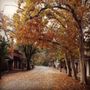 Columbia City and Fallon Hotels and Cottages