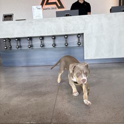 Santa Cruz Athletic Club - Mav approves