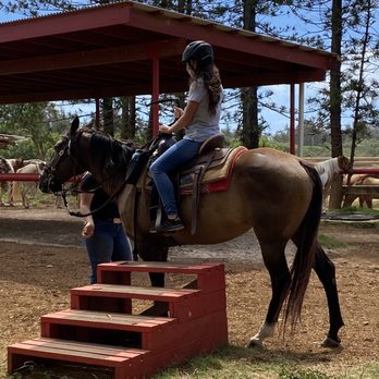 Gunstock Ranch - First time on a horse - Horseback Riding Near Me - Laie, Hawaii Gunstock Ranch - First time on a horse - Horseback Riding Near Me - Laie, Hawaii