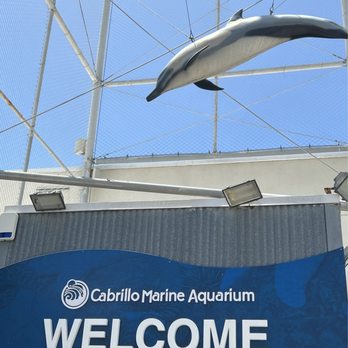 Cabrillo Marine Aquarium - Aquariums Near Me - San Pedro, California Cabrillo Marine Aquarium - Aquariums Near Me - San Pedro, California