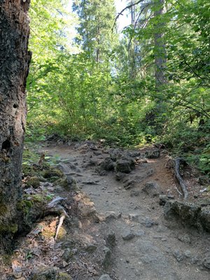 Tamolitch Falls (Blue Pool) by null