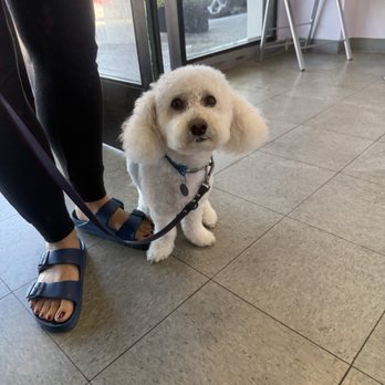 Marina Pet Spa - Pet Groomers Near Me - Marina Del Rey, California Marina Pet Spa - Pet Groomers Near Me - Marina Del Rey, California
