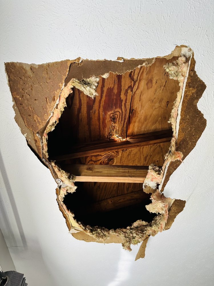 THE AVERY Updated July 2024 76 Photos & 16 Reviews 7025 Bronner