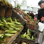 Photo of Farm Hill Farmers Market