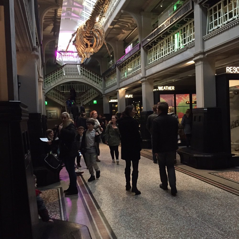 Manchester Museum - Museums Near Me - Manchester, XGM Manchester Museum - Museums Near Me - Manchester, XGM