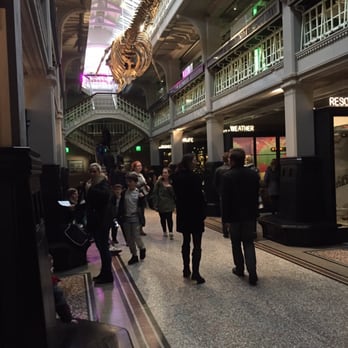 Manchester Museum - Museums Near Me - Manchester, XGM Manchester Museum - Museums Near Me - Manchester, XGM