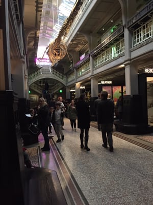 Manchester Museum by null