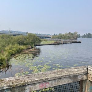 McCurdy Park - Arboretum Trail on Yelp