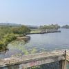 McCurdy Park - Arboretum Trail gift card