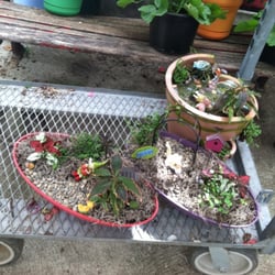 Several fairy garden