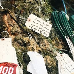 The Wishing Tree, in Portland, Oregon. A message about IVF.