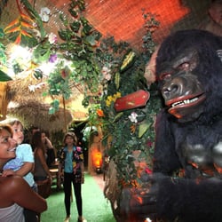 Musée de la Curiosité et de l'Insolite